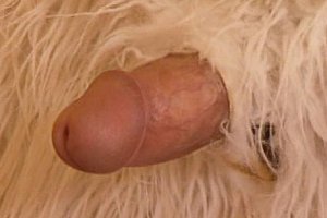 watch my gf 18 vidoes